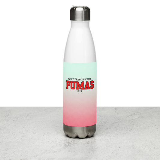 Stainless steel water bottle with lines and logo